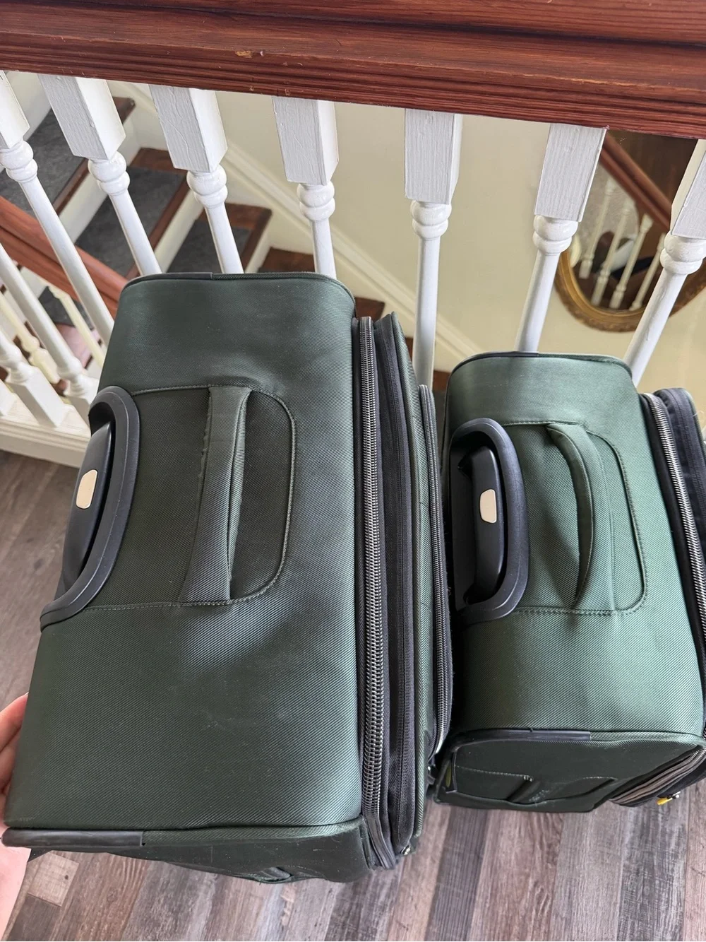 Delsey Paris Dark Green Medium Check-In and Carry-On Luggage
